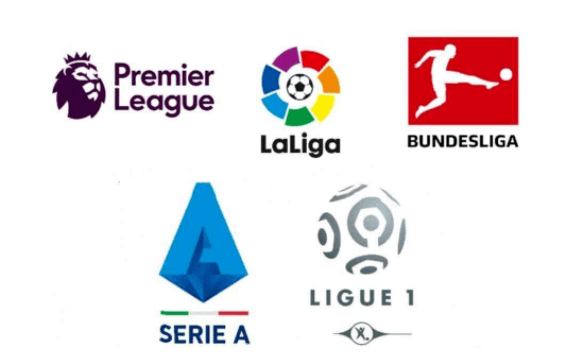 会利用机会 会利用机会